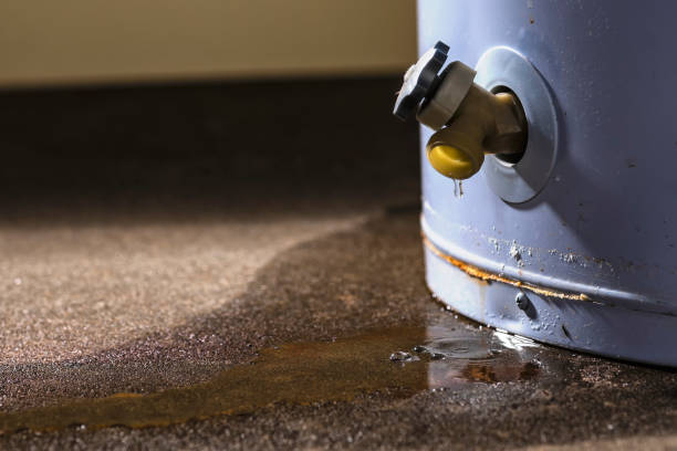 Best Residential water damage restoration  in Kremmling, CO