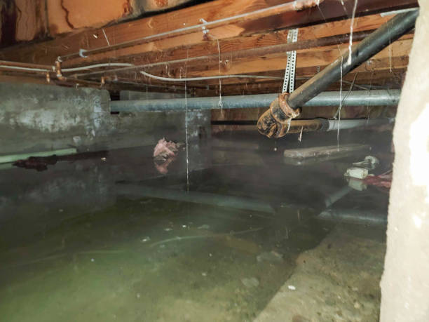 Best Commercial water damage restoration  in Kremmling, CO