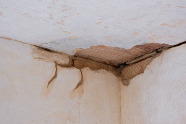 Best Water damage restoration near me  in Kremmling, CO