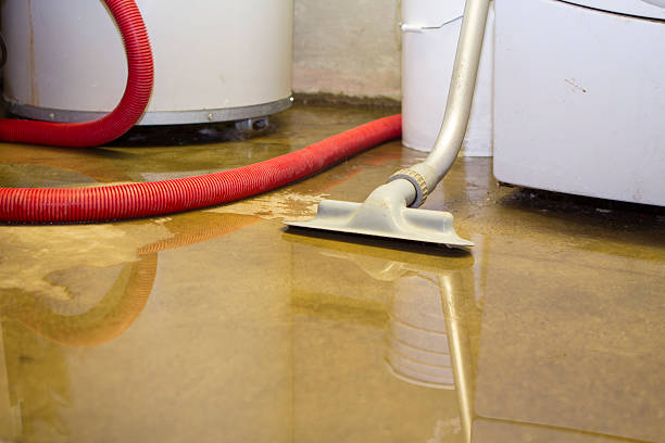 Best Flood damage cleanup  in Kremmling, CO