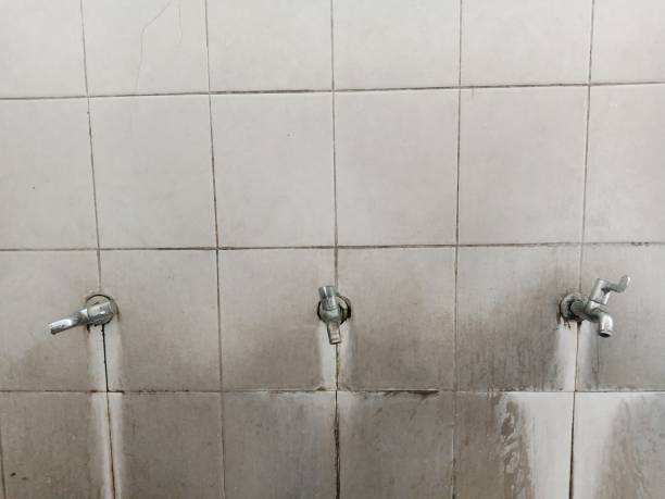 Best Local water damage restoration  in Kremmling, CO