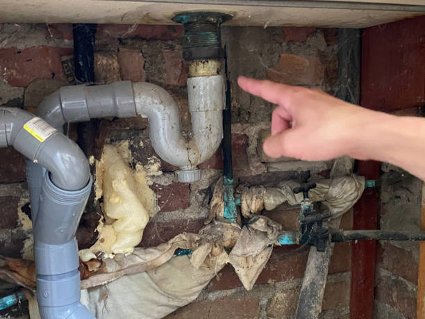 Kremmling, CO Water damage restoration Pros